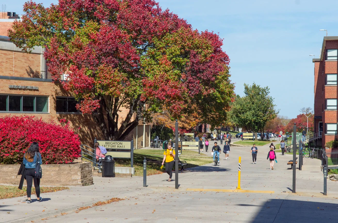 Students walking on Emporia State's campus during fall