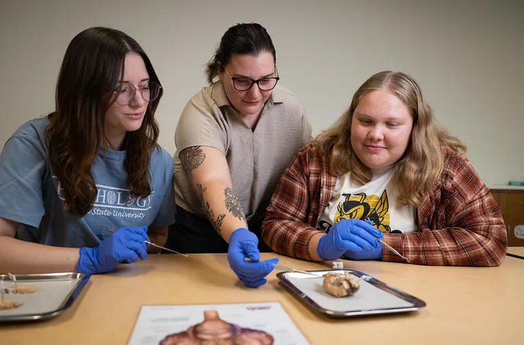 Students learning about the brain