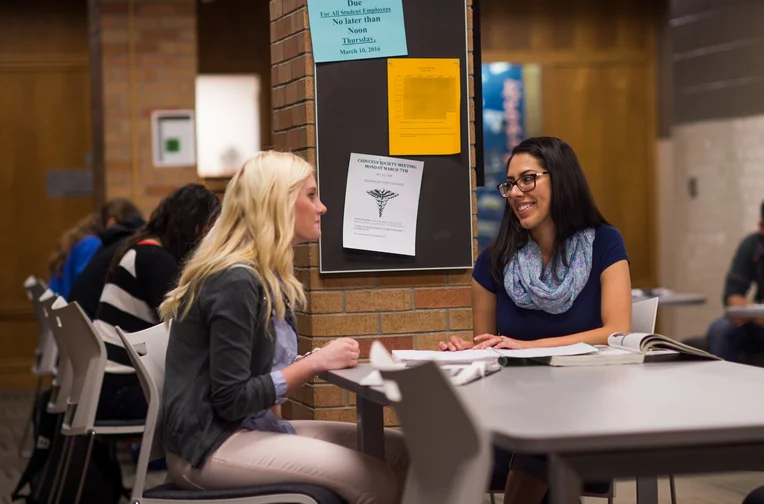 Students studying together