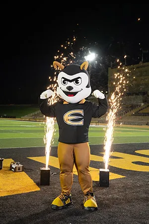 Corky Hornet mascot framed by fireworks shooting up