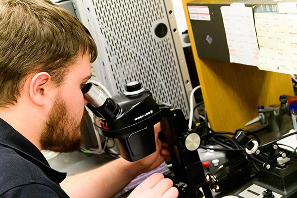 An ESU student looks into a microscope during biology class.